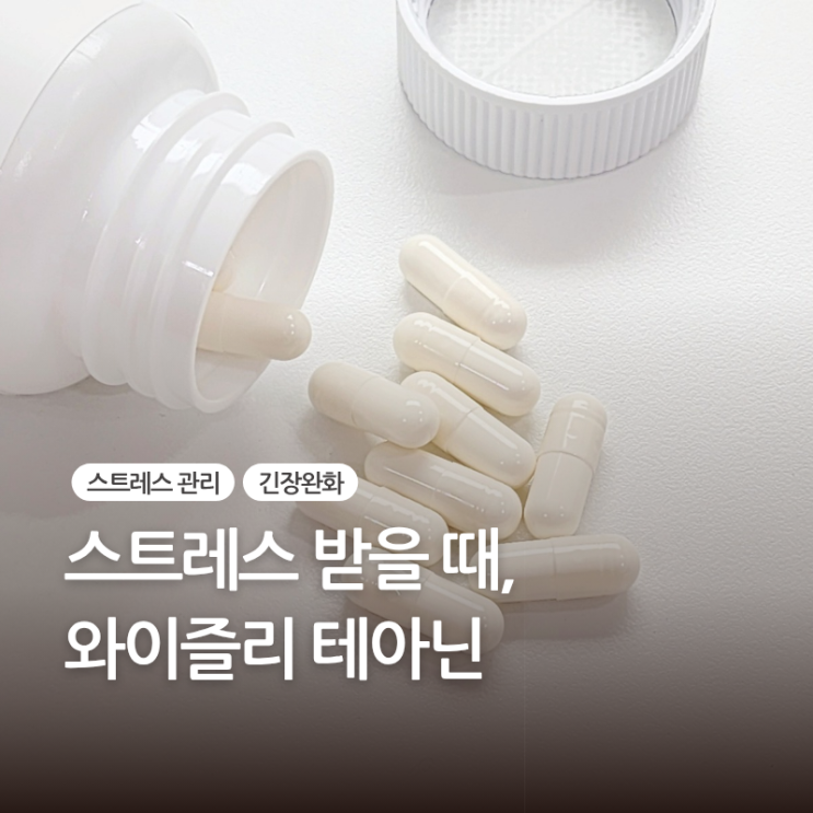 스트레스 영양제 와이즐리 테아닌 먹어본 후기
