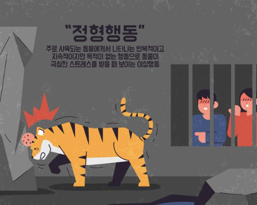   곰이 벽에 머리 ‘쾅쾅’…서울어린이대공원 동물 복지, 어디까지 왔나