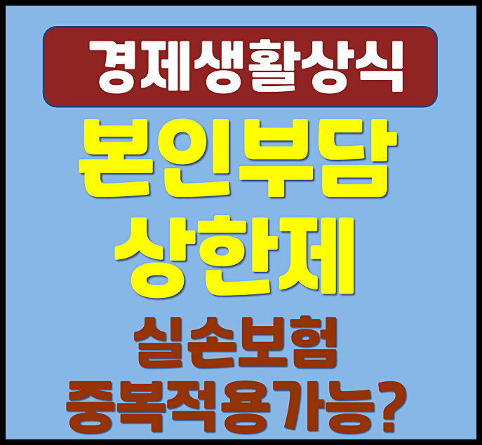  본인부담 상한제 지원대상 실손보험 중복가능 여부