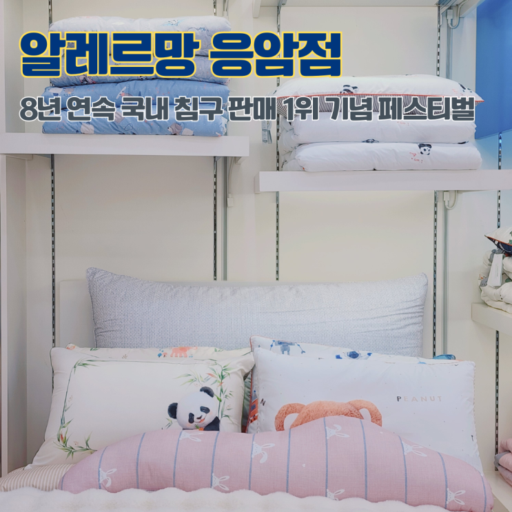  은평구 알레르망 1위 기념 페스티벌 8년 연속 국내 침구 판매 1위 브랜드 알레르망