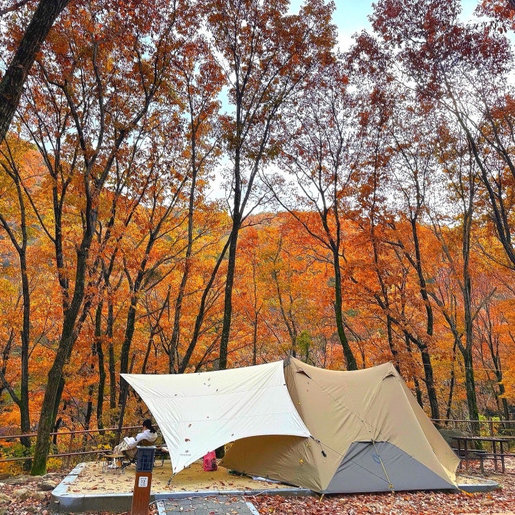  경남 달궁1야영장 단풍 예약 사이트 16번 후기 + 우중캠핑 (달궁힐링야영장)