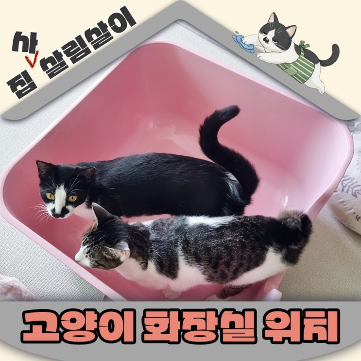  고양이 화장실 혹시 세탁실 옆에 위치하나요?