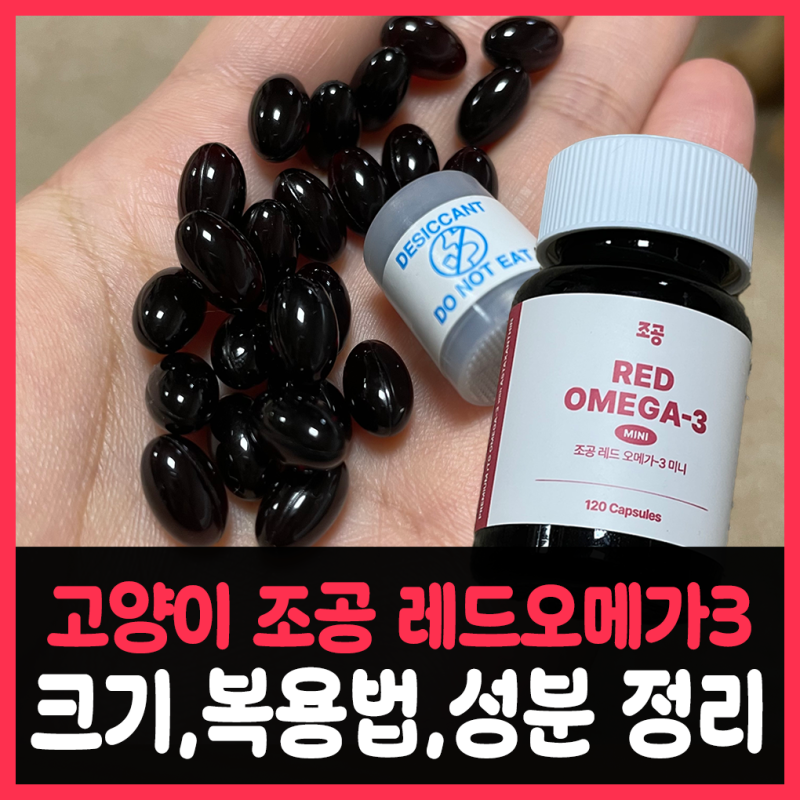 고양이 조공 레드 오메가3 후기? 성분,복용법까지 꼼꼼히 정리했어요
