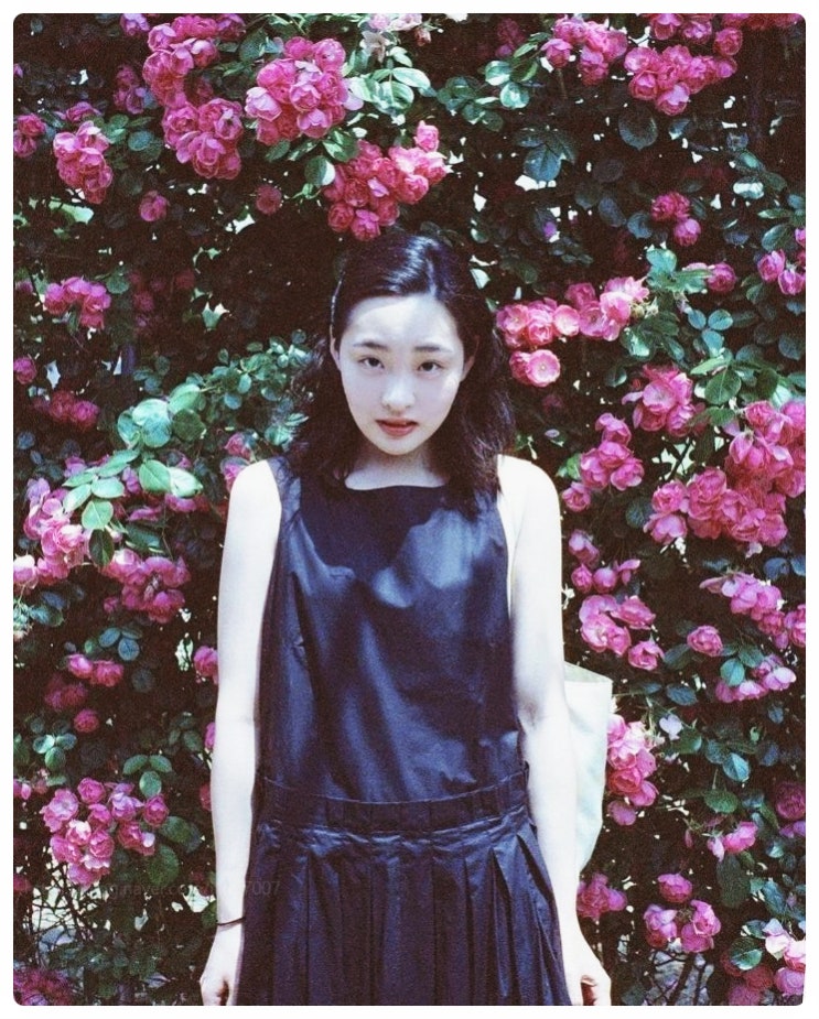 김민하 프로필 파친코 태풍상사 글로벌 스타 출연료 근황