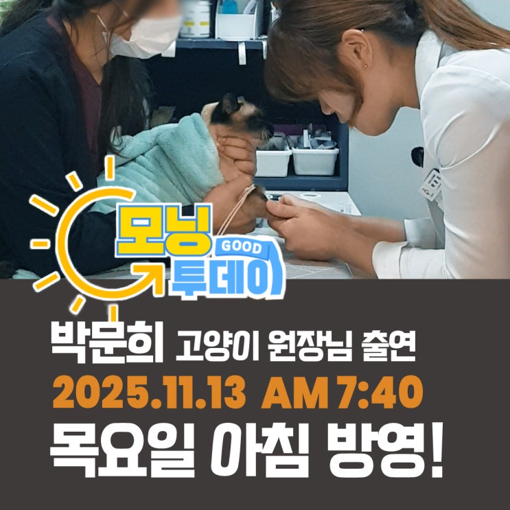  박문희 고양이 원장 KNN 굿모닝 투데이 출연 내일 11월 13일 목 방영합니다 부산24시동물병원