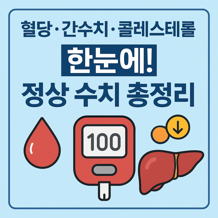   공복혈당·간수치·콜레스테롤, 정상 수치 완벽 정리!