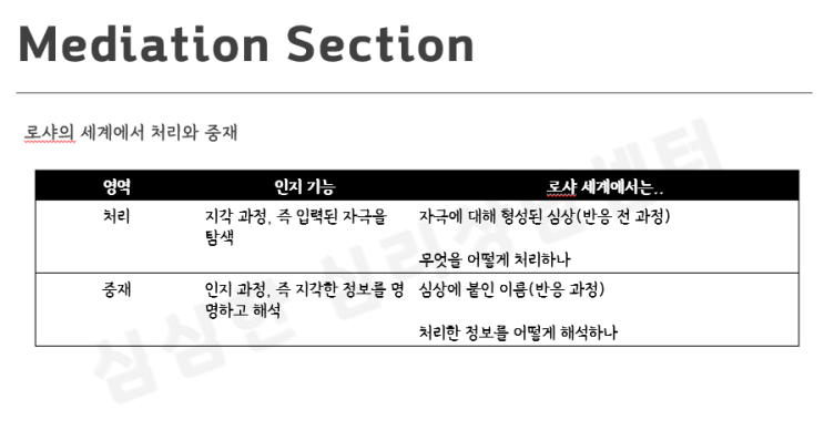  [심리평가] 로샤 세계에서 정보처리와 인지적 중재