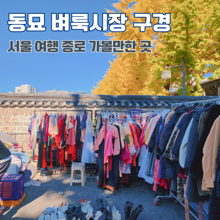  동묘 벼룩시장 구경하기 서울 여행 종로 가볼만한 곳 골동품 구제 빈티지 옷