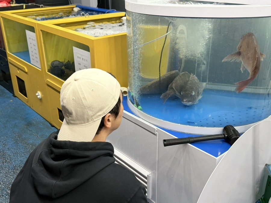 반월회센타 사진 3