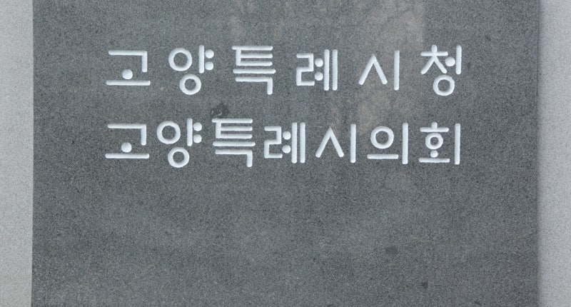 고양시 “11월 16일, 손기정평화마라톤대회로 주요 도로 통제됩니다”