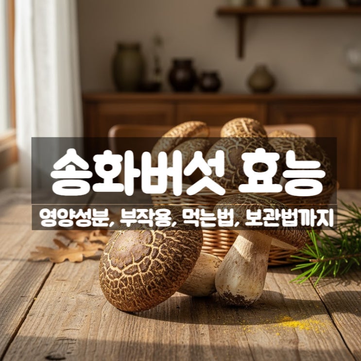  송화버섯 효능 부작용 먹는법 – 면역력과 간 건강에 좋은 귀한 버섯