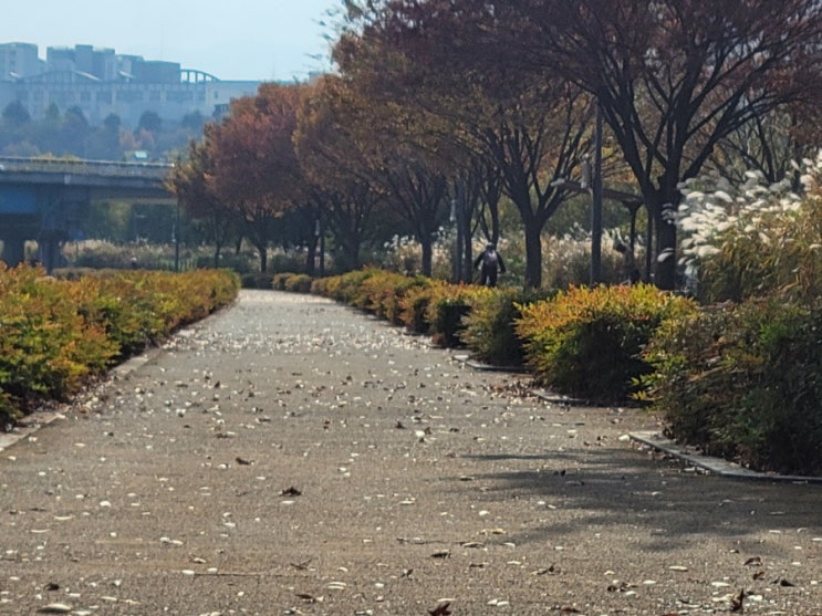  초보운전 운전 잘하는 법! 안전하고 센스 있게 하려면