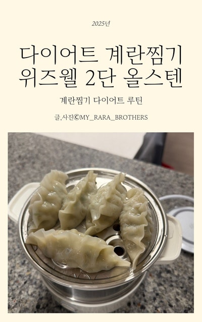 다이어트 계란찜기 위즈웰 2단 올스텐 실사용기