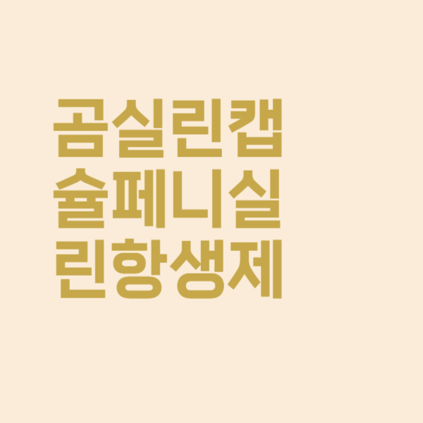  곰실린캡슐 페니실린 항생제 내성 주의사항 체크해보세요