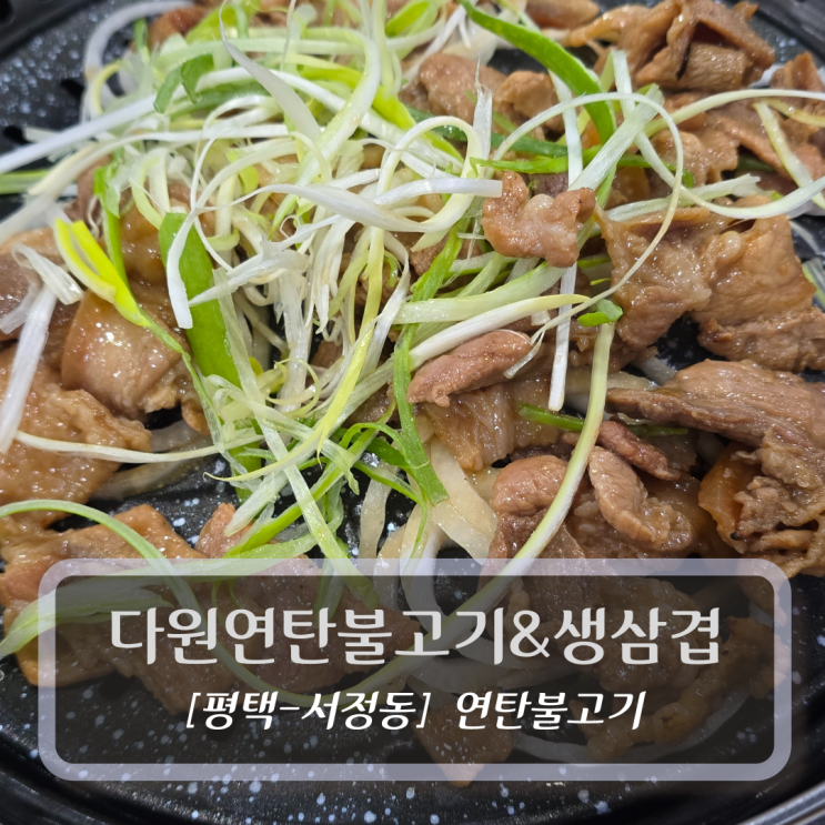  평택 이충동 맛집 :: 다원연탄불고기&생삼겹 - 연탄불고기 후기
