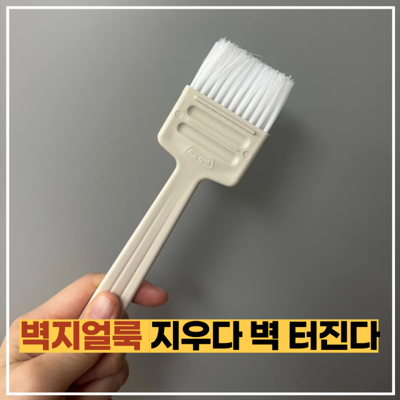 벽지 얼룩 지우는 법 틀리면 벽지 색이 다 벗겨져요