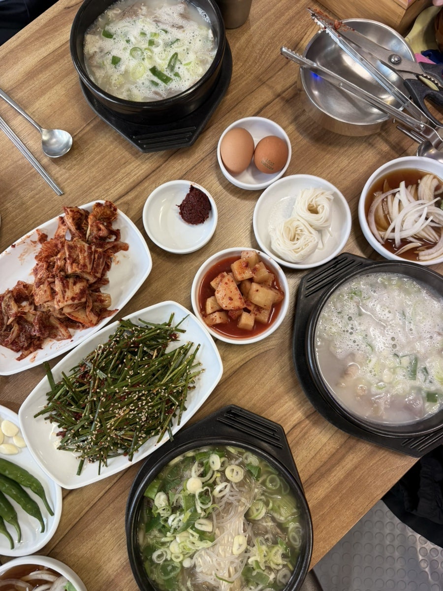 황소꼬리 사진 3