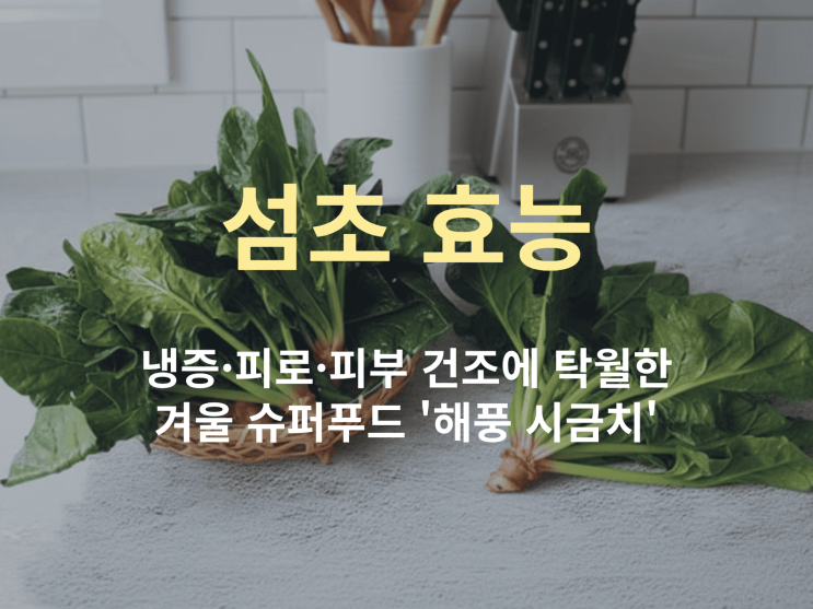  섬초 효능, 냉증·피로·피부 건조에 탁월한 겨울 슈퍼푸드 '해풍 시금치'
