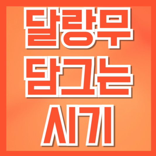  달랑무 담그는 시기와 보관법, 구매 시 체크포인트 총정리