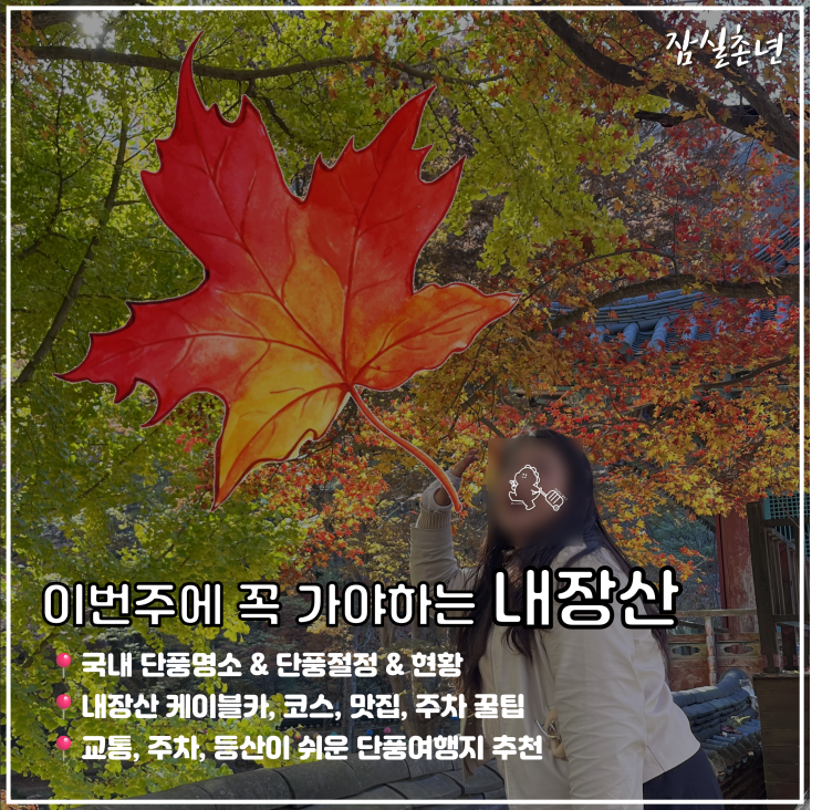  국내 여행 단풍명소ㅣ정읍 내장산 케이블카 단풍현황 실속 등산코스 맛집 주차 꿀팁 총정리