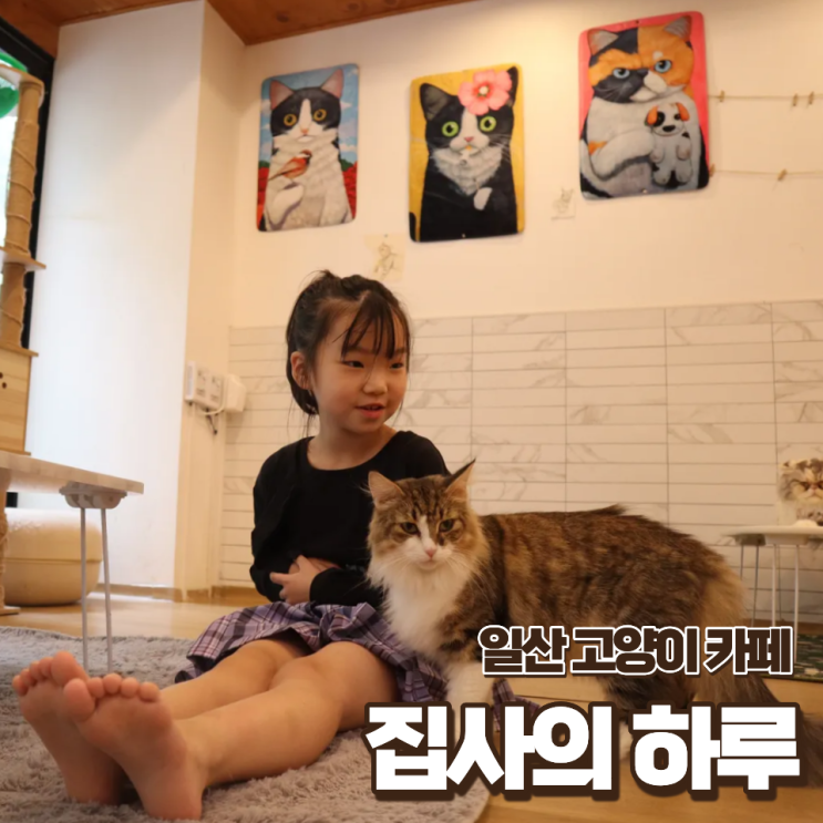  일산 고양이 카페 집사의 하루 아이랑 가볼만한곳