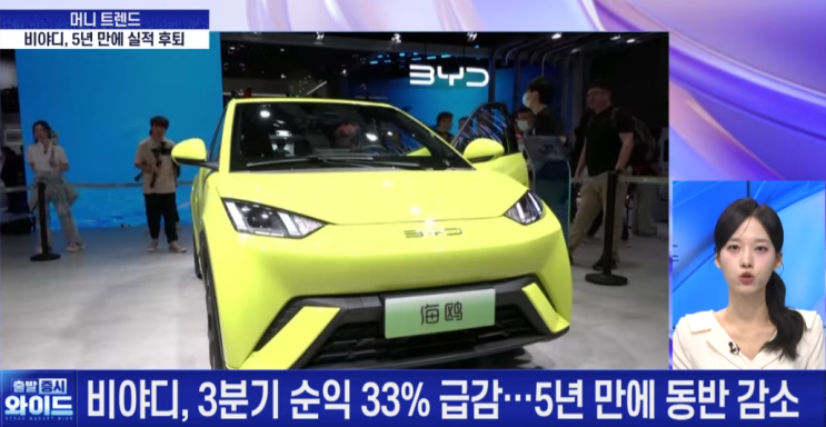 <b>BYD</b>, 경쟁격화 실적 부진...26년 EU규제, 중국 <b>보조금 중단</b>