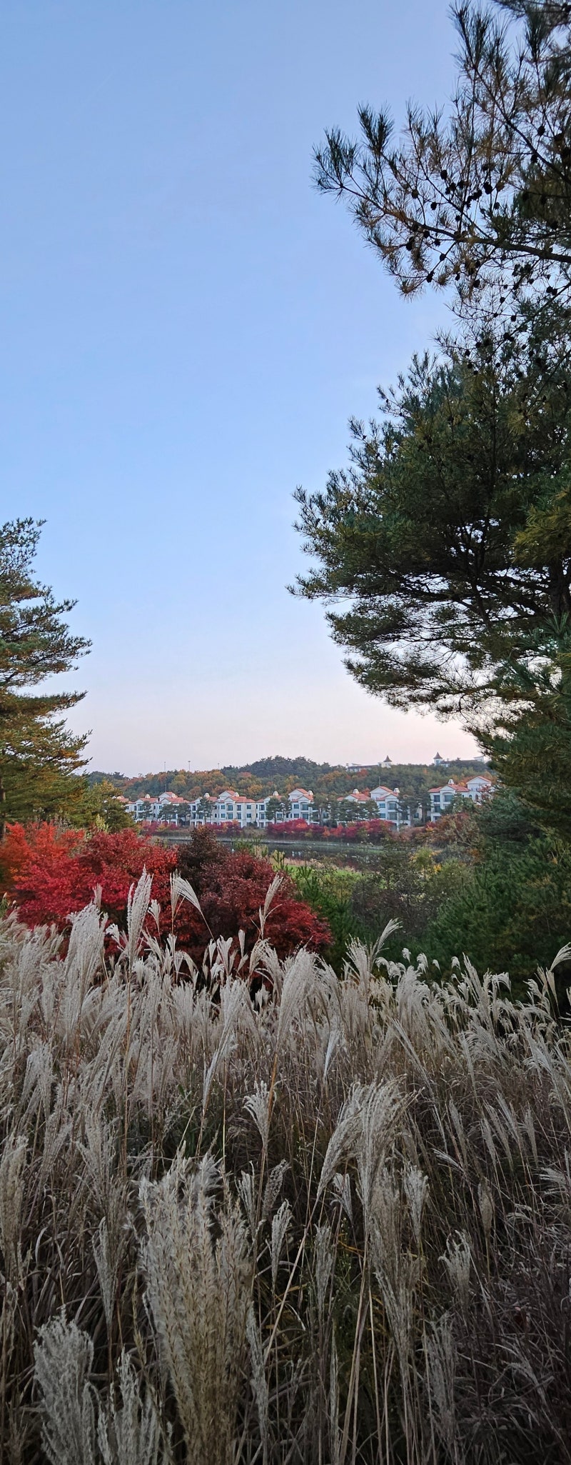 정책지식 2025.11.11. : 네이버 블로그