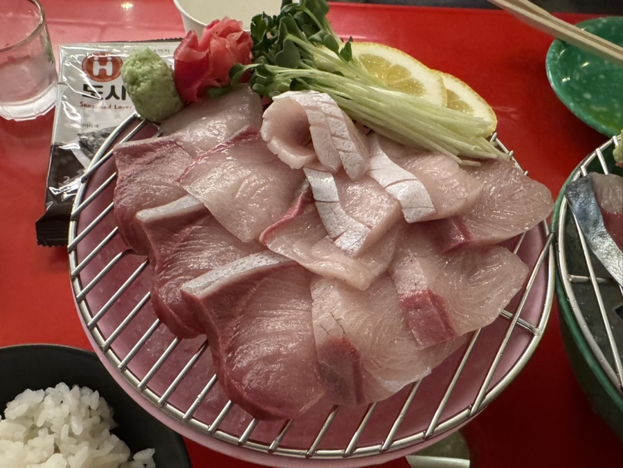 초록문 사진 6