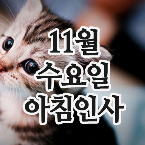  11월 인사말, 12일 수요일 아침인사 문자
