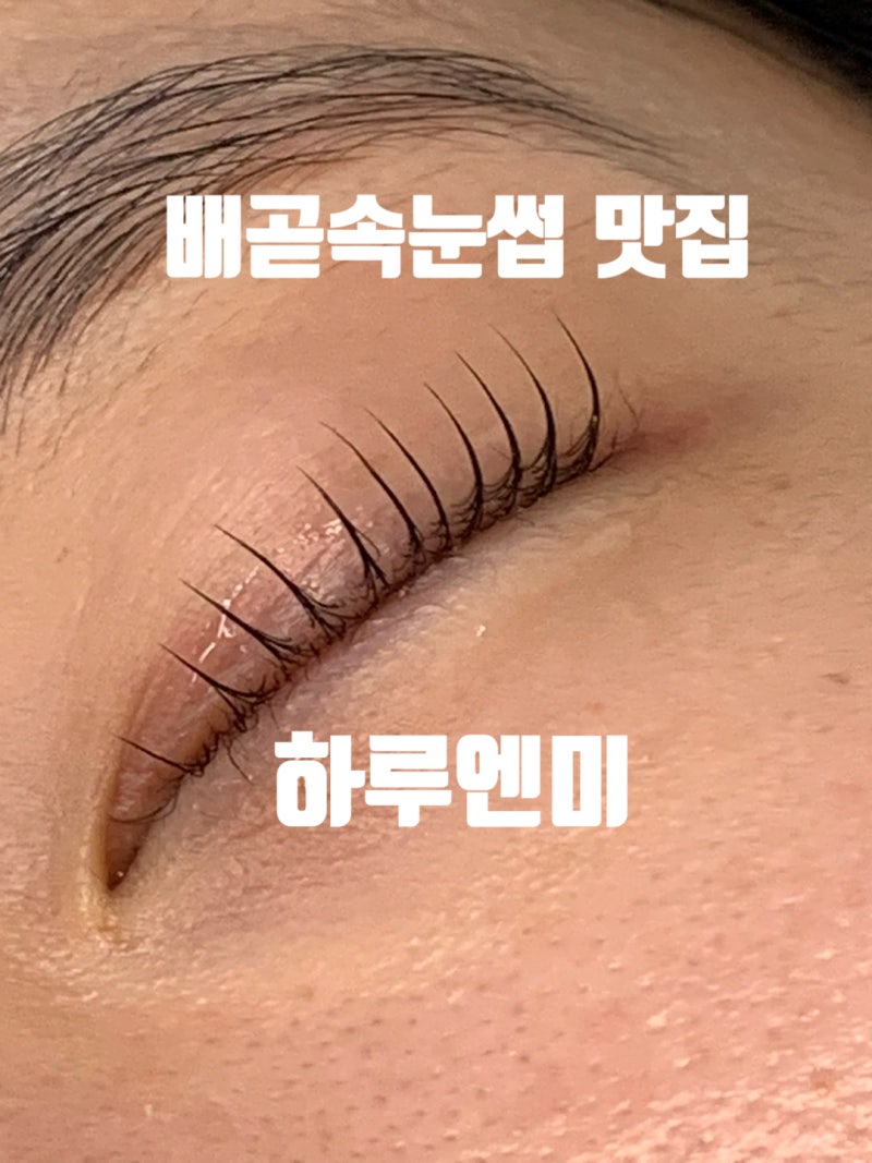 속눈썹펌, 블랙틴팅과 블랙틴트 무슨 차이??