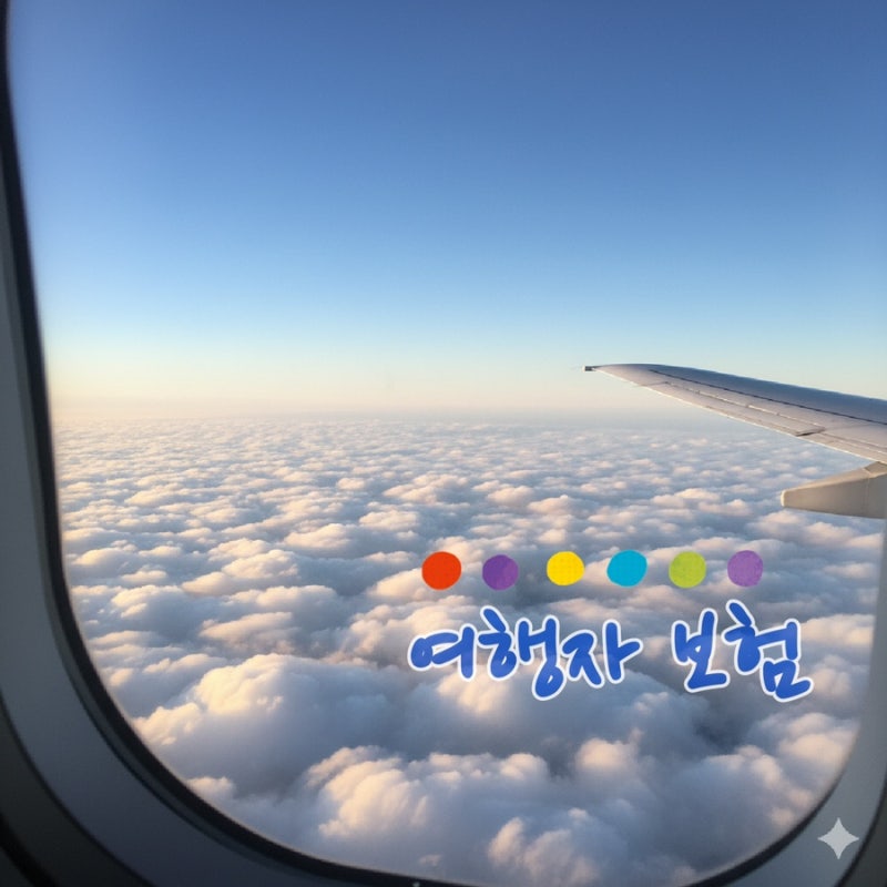 다낭 자유여행 :: 해외여행 필수템 !! 토글여행자보험 7인가족 비용 공유
