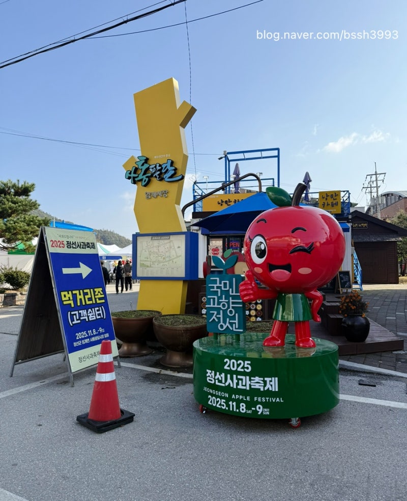 정선 11월 주말 축제 정선사과축제 다녀온 후기