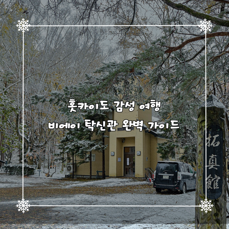  홋카이도 북해도 비에이 ‘탁신관(拓真館)’ 여행 가이드: 자작나무 숲길과 사진 속 예술의 마을, 비에이의 감성 명소