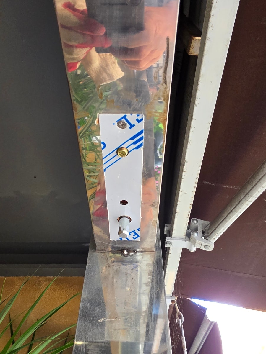 바이젠비어 사진 5