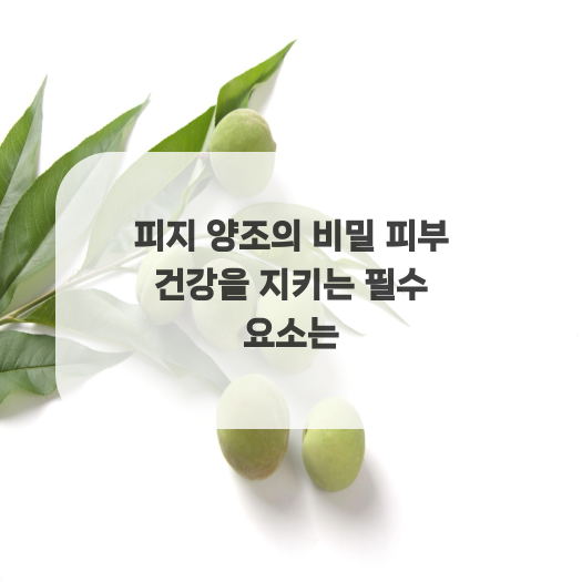  피지 양조의 비밀 피부 건강을 지키는 필수 요소는
