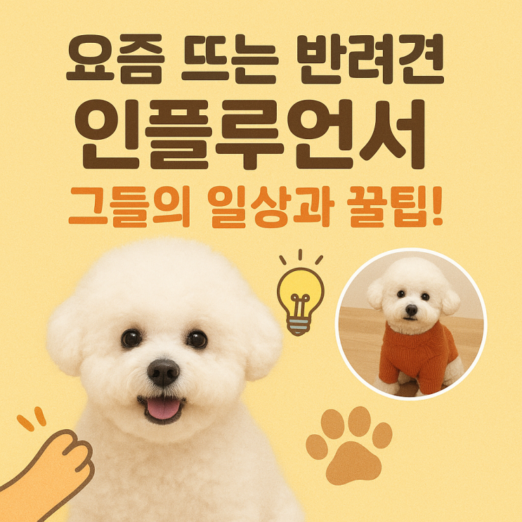  요즘 뜨는 반려견 인플루언서 TOP 5, 그들의 인기 비결은?