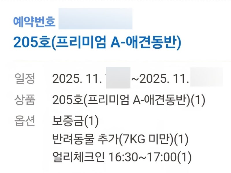 사진 8