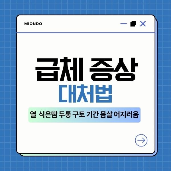 급체 증상 열 대처법 식은땀 두통 구토 기간 몸살 어지러움