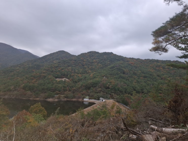  25년 11월10일 울산주변 송이산행