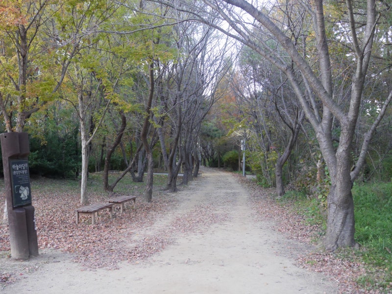 영종도 산책코스 추천 영마루공원 세계평화의숲 걷기