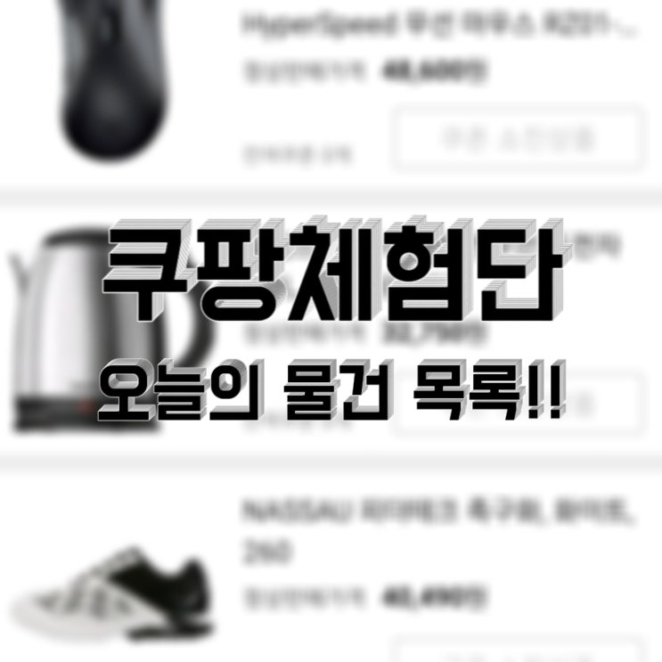  오늘은 두근두근 쿠팡 체험단 신청하는 날 : 물건목록 살펴보기