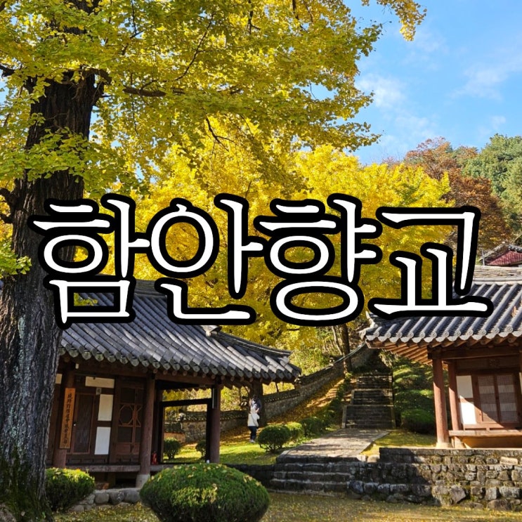  창원인근 경남 단풍 명소 추천 함안 가볼 만한 곳 '함안향교'