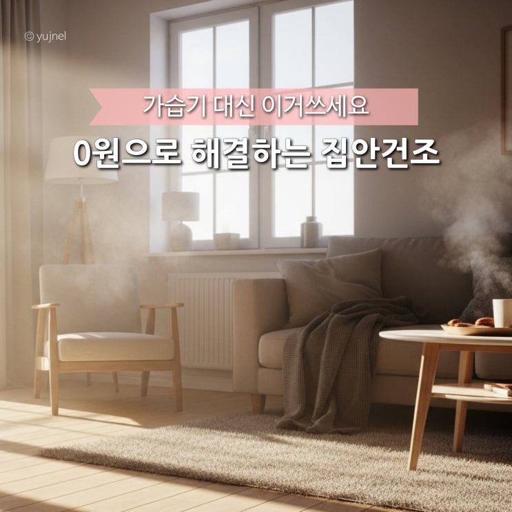  전기세 0원으로 해결하는 '집안건조' 가습기보다 낫던 3가지 꿀조합
