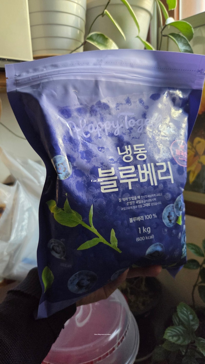 미국산 냉동 블루베리 구입 후기 - 노브랜드 블루베리 추천