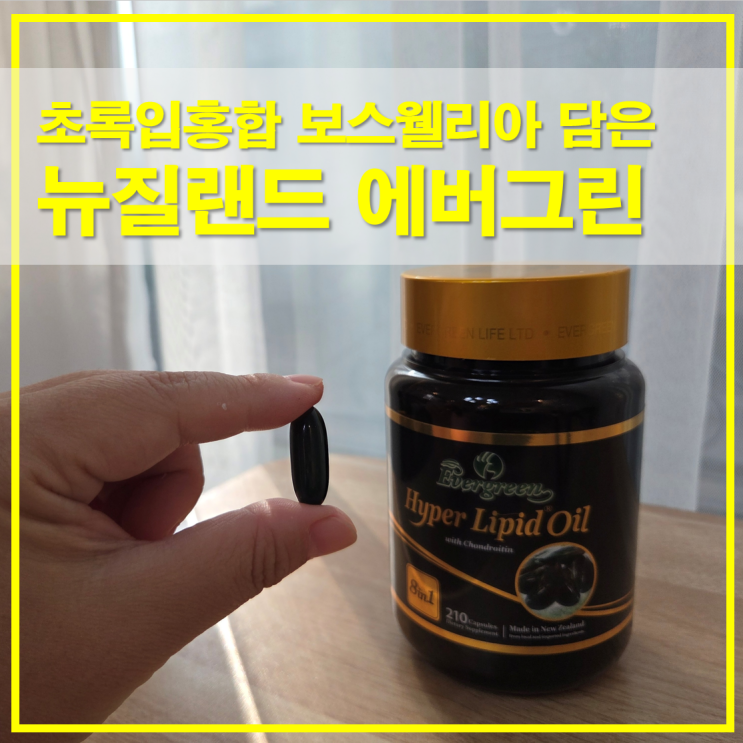  초록입홍합 보스웰리아 성분을 담은 뉴질랜드 에버그린 하이퍼리피드 오일