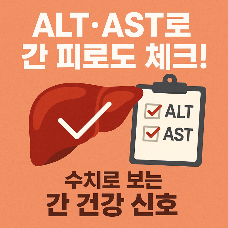   간 건강검진, ALT·AST 수치로 보는 간 피로도