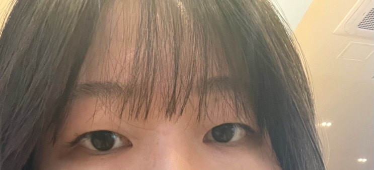  서울 숙대입구역 왁싱샵 새봄 | 눈썹+헤어라인 왁싱 대만족 후기