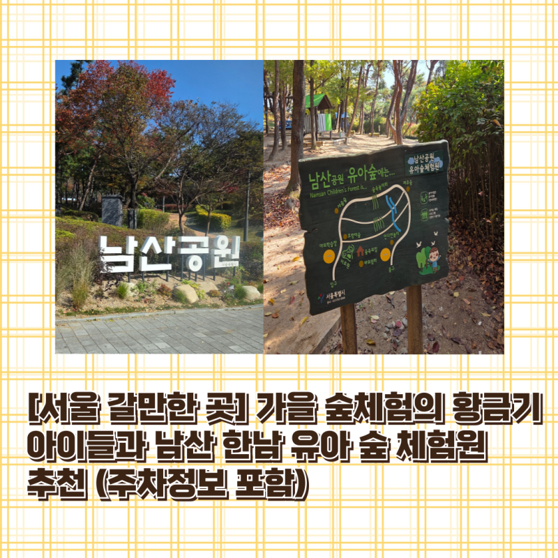[서울 갈만한 곳] 가을 숲체험의 황금기 아이들과 남산 한남 유아 숲 체험원 추천 (주차정보 ....