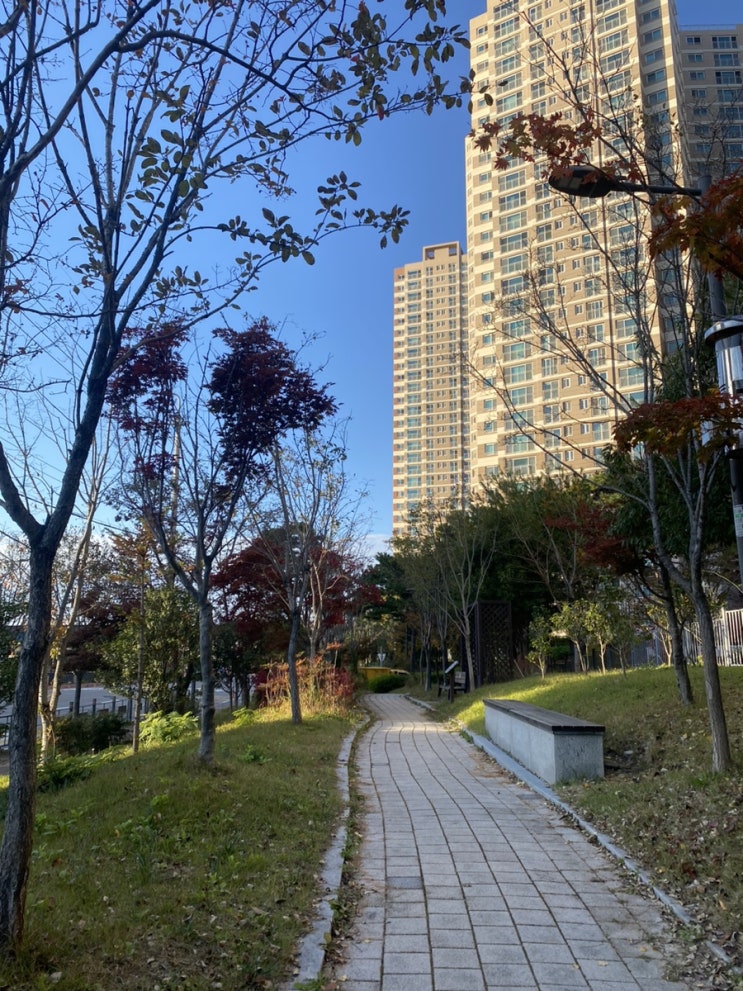  바쁜 가을 일정