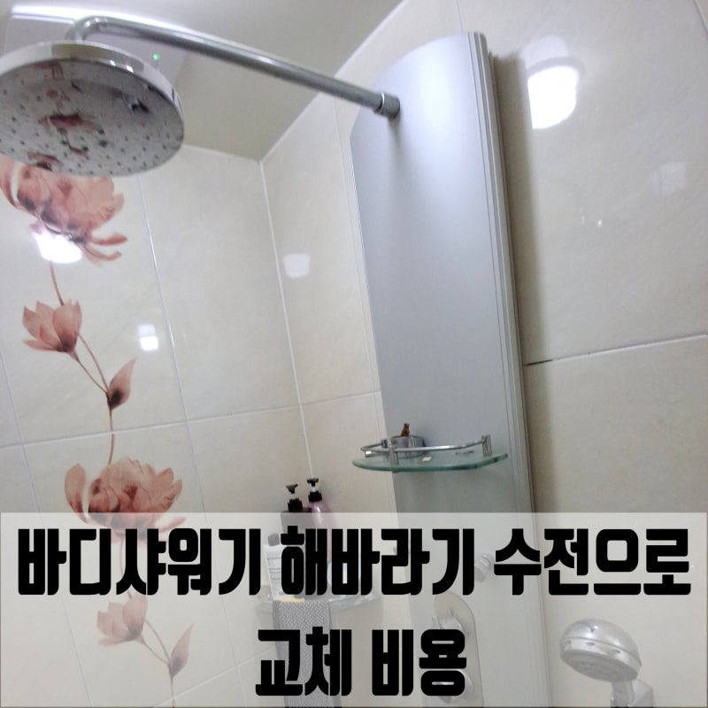 바디샤워기 해바라기 수전으로 교체 비용